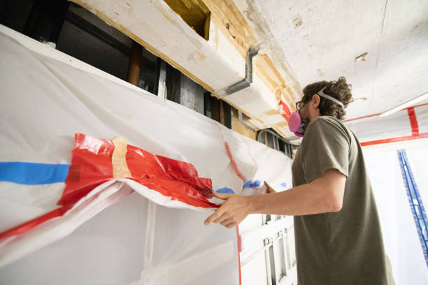 Mold Removal for HVAC Installations in Springfield, CO